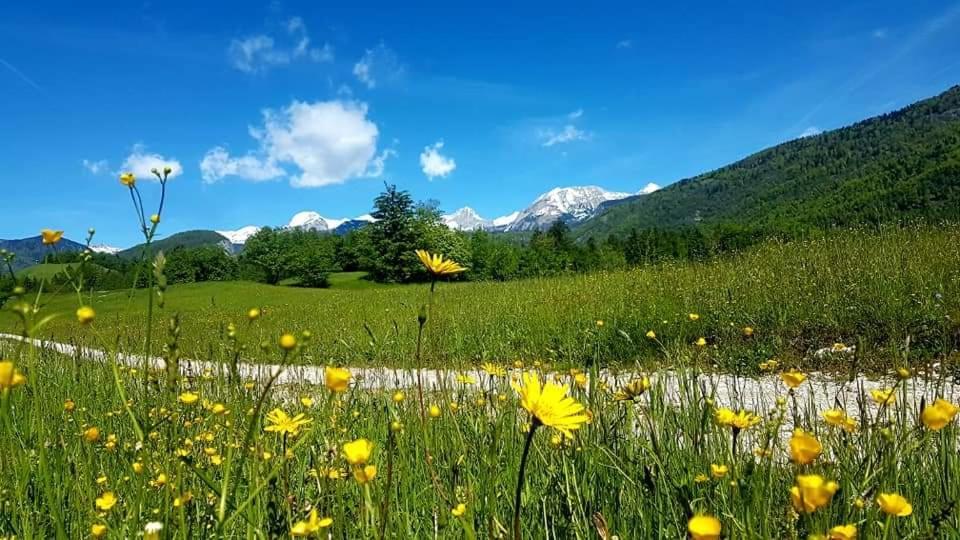 Apartments Susnik Bohinj Zewnętrze zdjęcie
