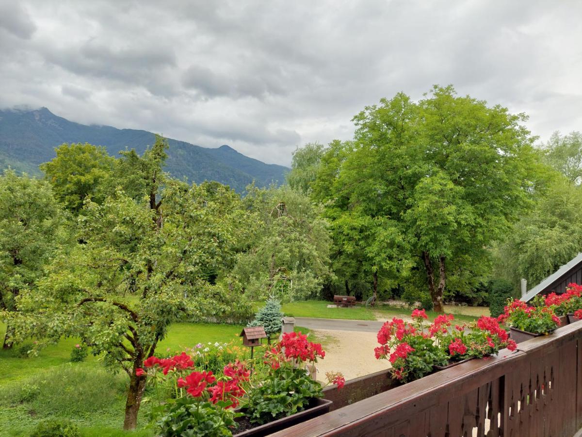 Apartments Susnik Bohinj Zewnętrze zdjęcie