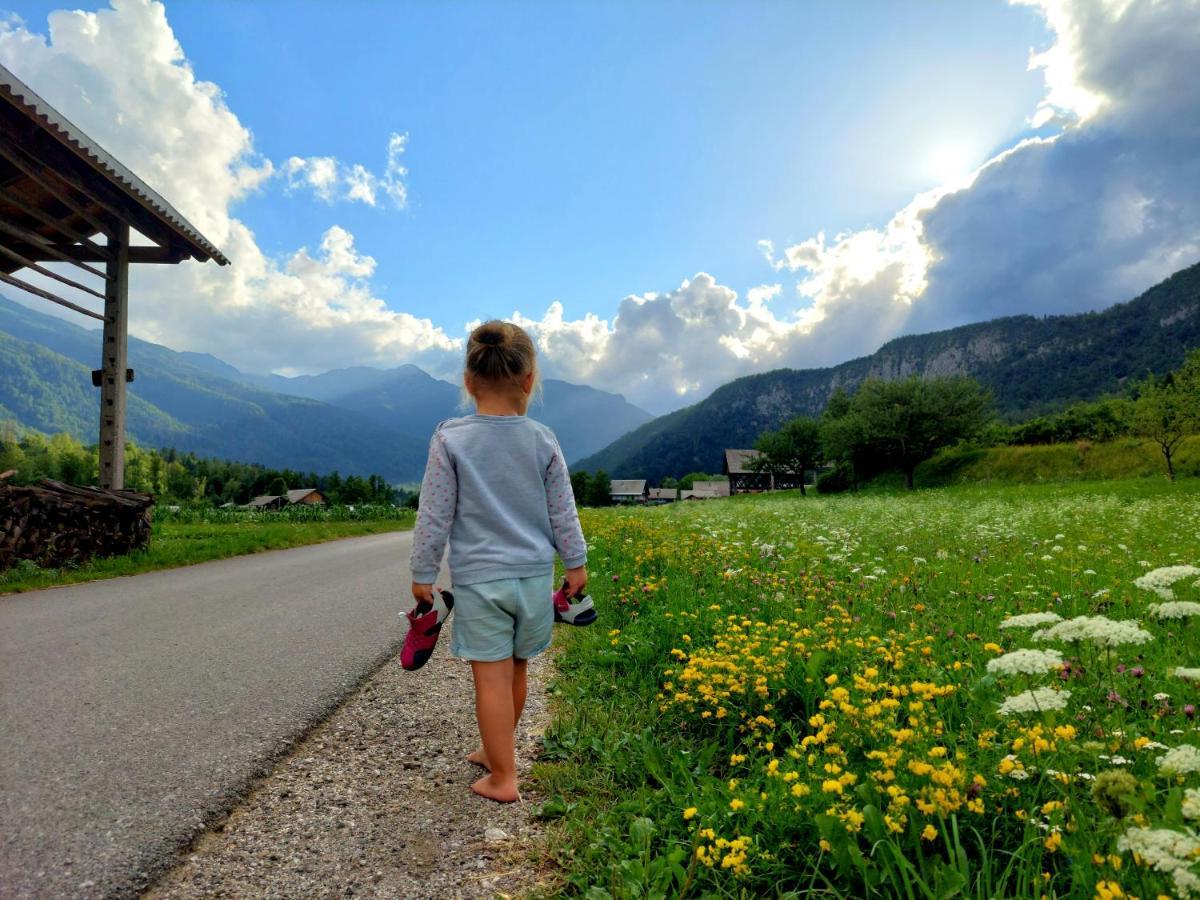 Apartments Susnik Bohinj Zewnętrze zdjęcie