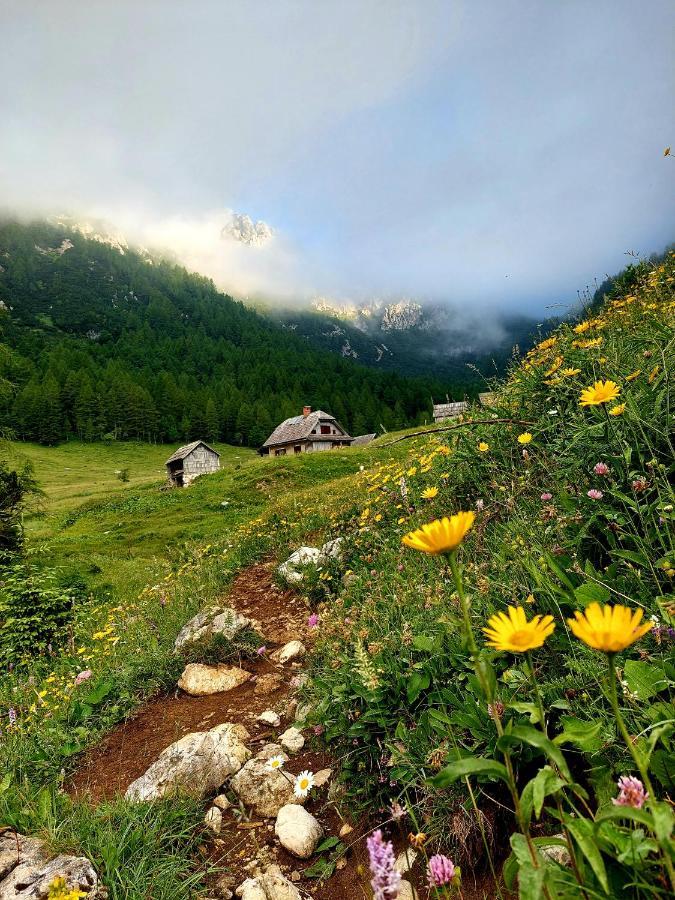 Apartments Susnik Bohinj Zewnętrze zdjęcie