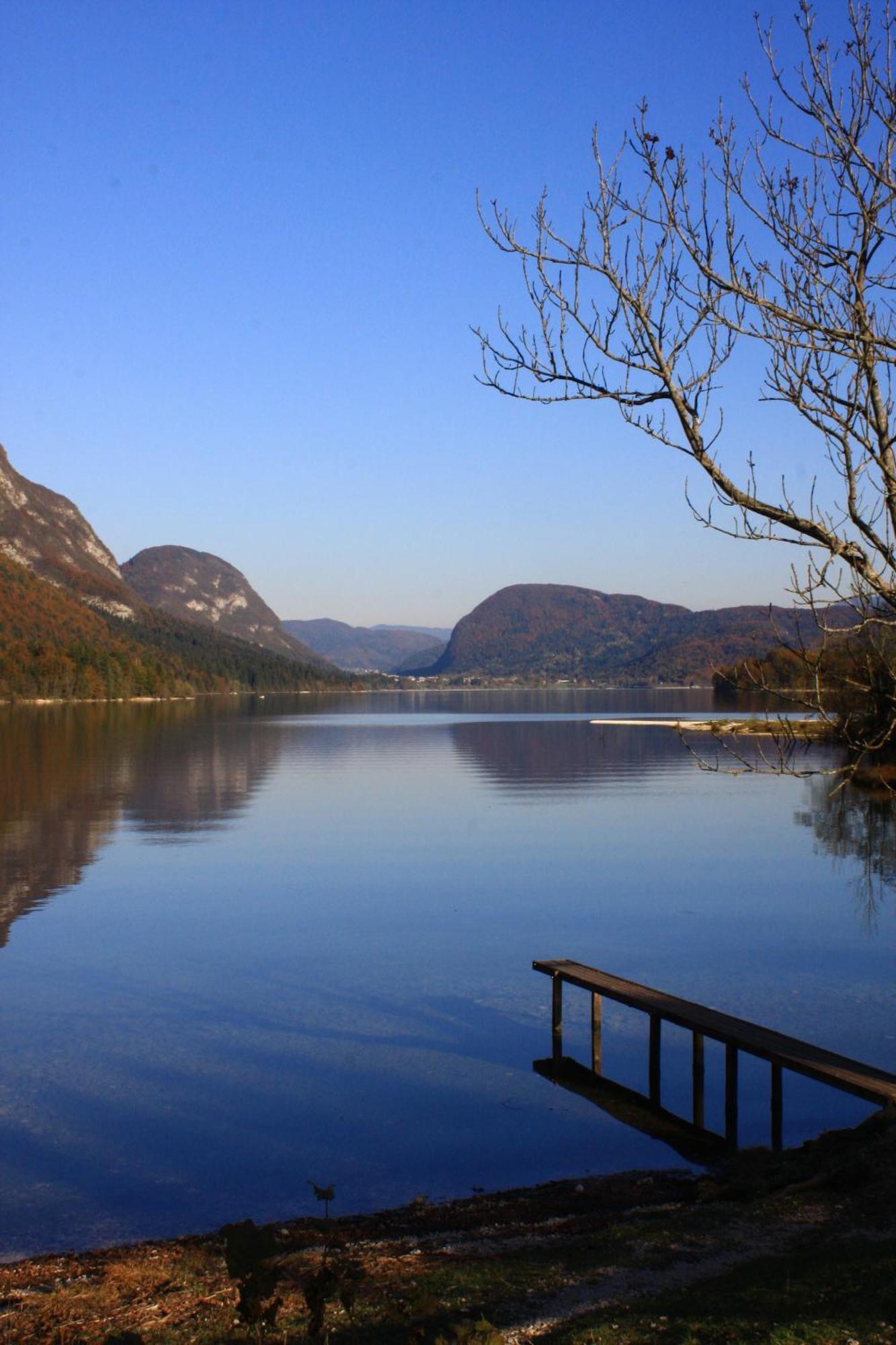 Apartments Susnik Bohinj Zewnętrze zdjęcie