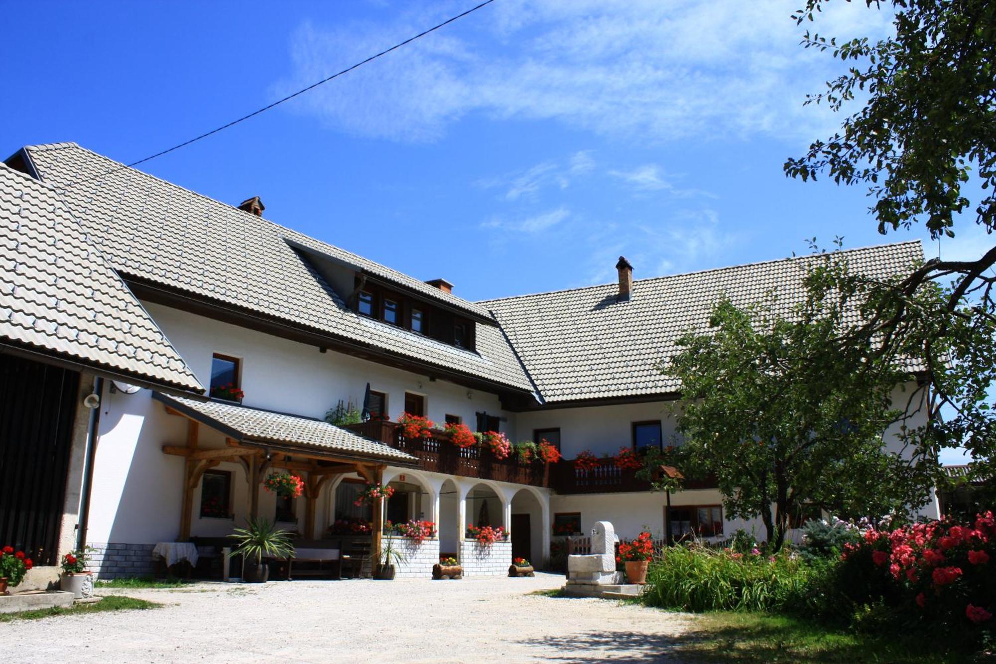 Apartments Susnik Bohinj Zewnętrze zdjęcie