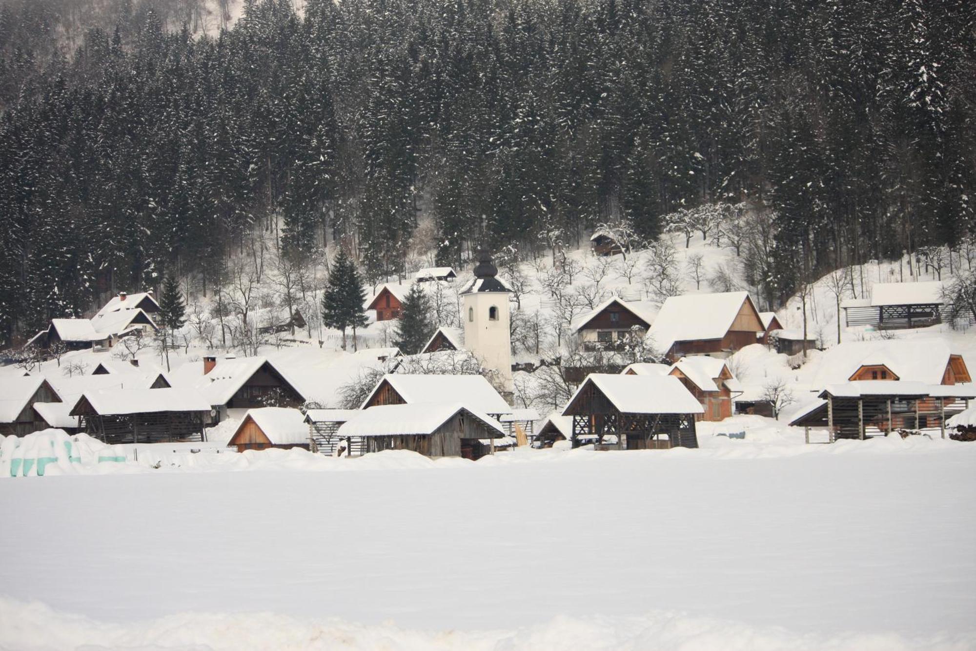 Apartments Susnik Bohinj Zewnętrze zdjęcie