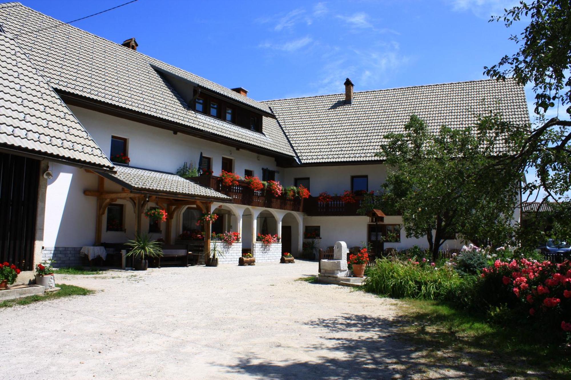 Apartments Susnik Bohinj Zewnętrze zdjęcie